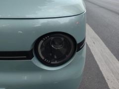 Geely Galaxy Panda mini 210km Yuanqi Bear - photo 4