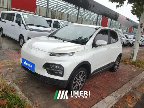 2021 Dayun Yuehu 300km 2WD Edition 32.85kWh