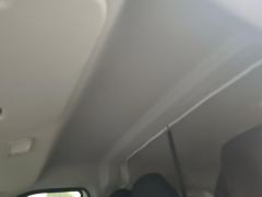 Maxus Dà Ná V1 340km Edition - ფოტო 15