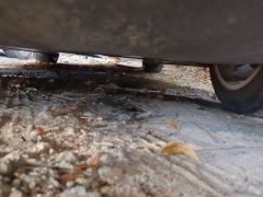 Tesla Model Y Standard endurance rear-wheel drive - photo 8