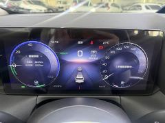 FAW Red Flag HS3 PHEV 117km Dynamic Edition - photo 11