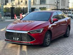BYD Qin Plus DM-i 55KM Flagship - photo 3