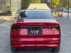 BYD Qin Plus DM-i 55KM Flagship - photo 5