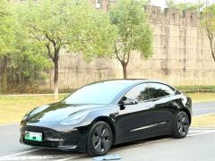 Tesla Model 3 Standard Range Edition - ფოტო 1