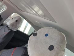 Geely Pinrui Binrui COOL 1.5T Longteng Edition - ფოტო 15