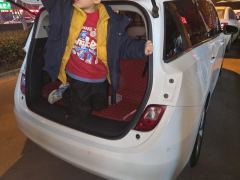 Buick GL6 323T Luxury Version - ფოტო 2