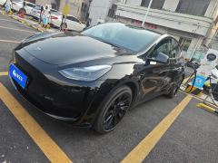 Tesla Model Y 545km Rear-Wheel Drive Edition - ფოტო 1