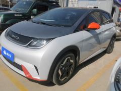 BYD Dolphin 405km Stylish Edition - ფოტო 1