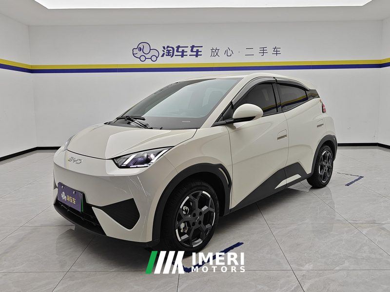 BYD Seagull Smart Drive Edition 405km Edition