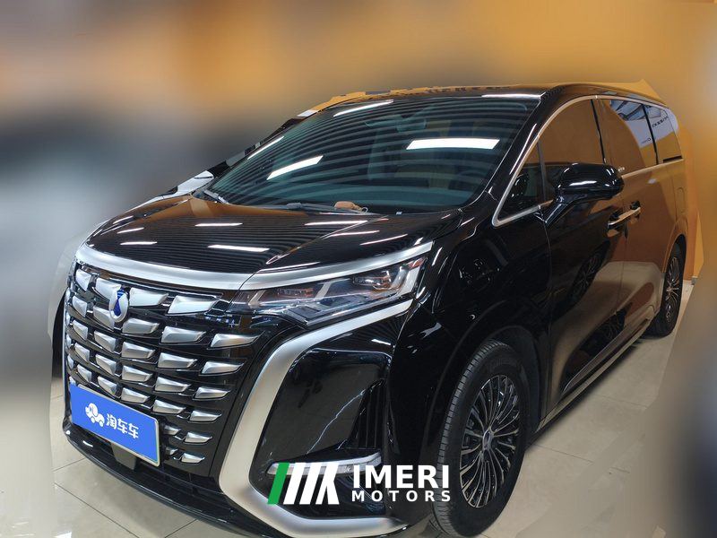 Denza D9 DM-i 1.5T 190km AWDPremium Version 7
