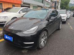 Tesla Model Y 545km Rear-Wheel Drive Edition - ფოტო 1