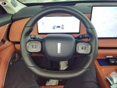 WEY Blue Mountain Four-Wheel Drive Max - ფოტო 10