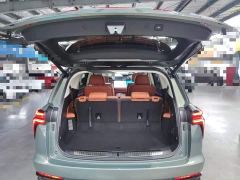 WEY Blue Mountain Four-Wheel Drive Max - ფოტო 18