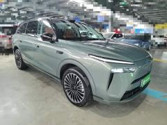 WEY Blue Mountain Four-Wheel Drive Max - ფოტო 3