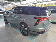 WEY Blue Mountain Four-Wheel Drive Max - ფოტო 4