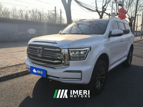 2024 Tank 500 New Energy 2.0T Hi4-T 37.1kWh - ავტომობილი ჩინეთიდან
