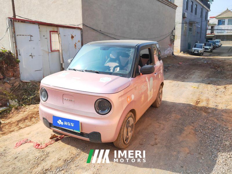 Geely Galaxy Panda mini 200km Animated Bear