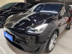 Tesla Model Y 545km Rear-Wheel Drive Edition - ფოტო 1
