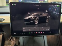 Tesla Model Y 545km Rear-Wheel Drive Edition - ფოტო 17