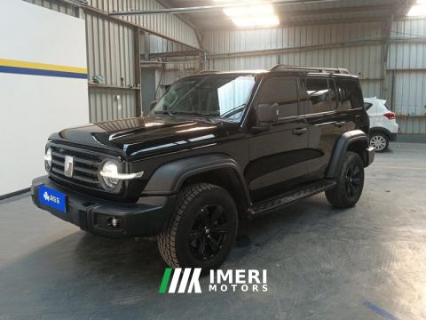 2021 Tank 300 Off-Road Edition 2.0T Challenger - ავტომობილი ჩინეთიდან