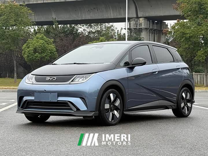 BYD Dolphin Glory Edition 401km Knight Edition