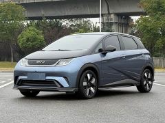 BYD Dolphin Glory Edition 401km Knight Edition - photo 1