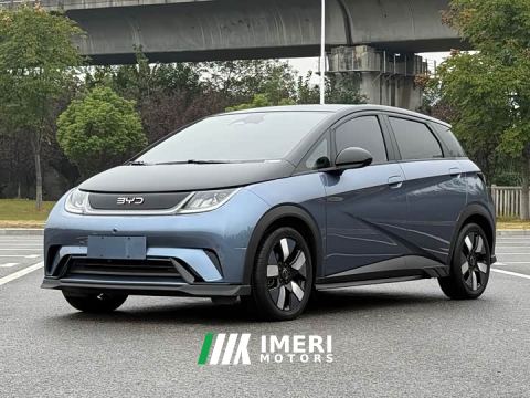 2024 BYD Dolphin Glory Edition 401km Knight Edition