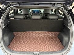 BYD Dolphin Glory Edition 401km Knight Edition - photo 17