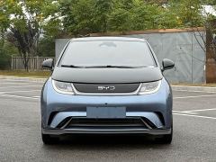 BYD Dolphin Glory Edition 401km Knight Edition - photo 2