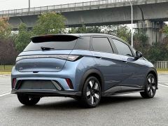 BYD Dolphin Glory Edition 401km Knight Edition - photo 6