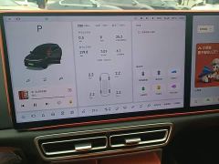 Li Auto L6 Pro - ფოტო 11
