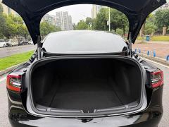 Tesla Model 3 Rear-Wheel Drive - photo 19