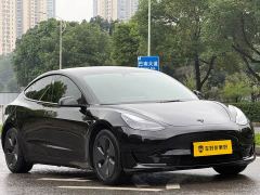 Tesla Model 3 Rear-Wheel Drive - photo 3