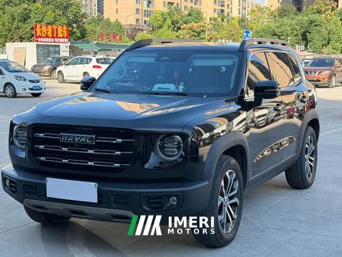 2022 Great Wall Dachshund 1.5T DCT Two-Wheel Drive Border Collie Edition - car from China