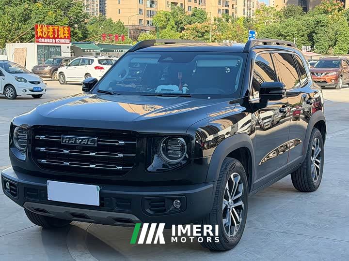 Great Wall Dachshund 1.5T DCT Two-Wheel Drive Border Collie Edition
