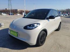 Wuling Binguo 203km Light Enjoy Edition - ფოტო 1