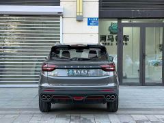 Geely Bingyue 1.4T DCT Diamond Edition - photo 13
