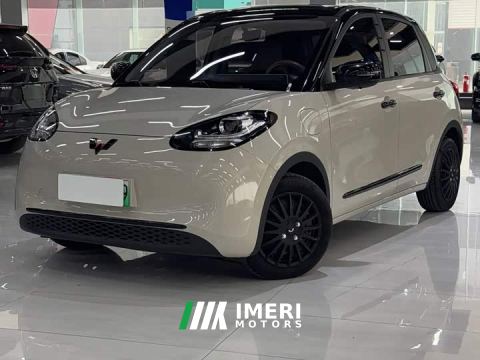 2024 Wuling Binguo 333km Joy Edition