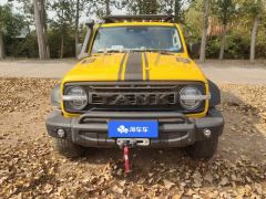 Tank 300 2.0T Frontier Limited Edition - фото 3
