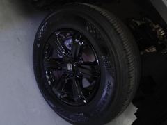 Tank 300 Off-Road Edition 2.0T Conqueror - ფოტო 6