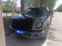 Haval Great Wall Big Dog Great Wall Dog 1.5T Two-wheel drive Labrador version - фото 3