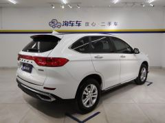 Haval M6 PLUS 1.5T Version - ფოტო 2