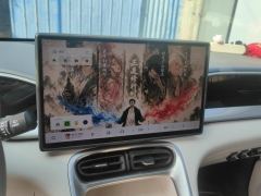 Geely Star Wish 310km Edition - ფოტო 17