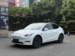 Tesla Model Y Rear-Wheel Drive - ფოტო 1