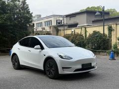 Tesla Model Y Rear-Wheel Drive - ფოტო 3