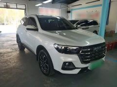 Haval H6 National Trend Edition 1.5T Automatic Urban Version - ფოტო 3