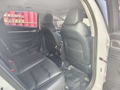 Geely Xingrui 2.0T Diesel Premium - ფოტო 8