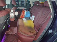Hongqi H5 1.5T DCT Smart Connected Flagship Rhythm Edition - ფოტო 14