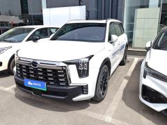 GAC ES9 2.0T 143km Max 6 - photo 1