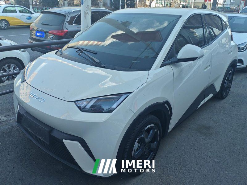 BYD Seagull 305km Free Version - ავტომობილი ჩინეთიდან